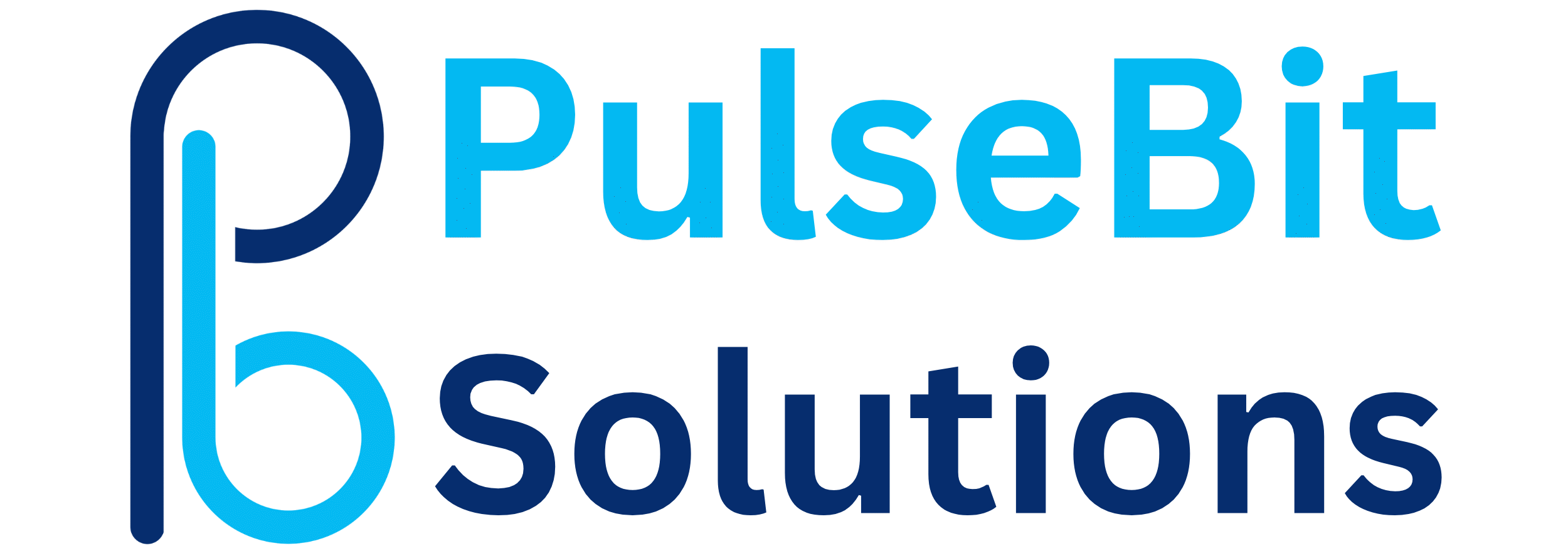 PulseBit Solutions